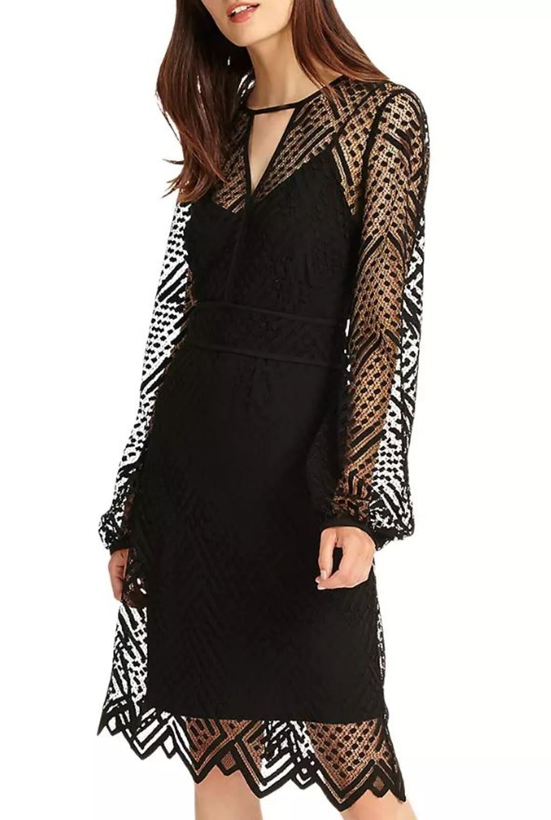 PHASE EIGHT Ladies Jet Black 'Lorna' Lace Ruffle Dress Size UK16 BNWT RRP110