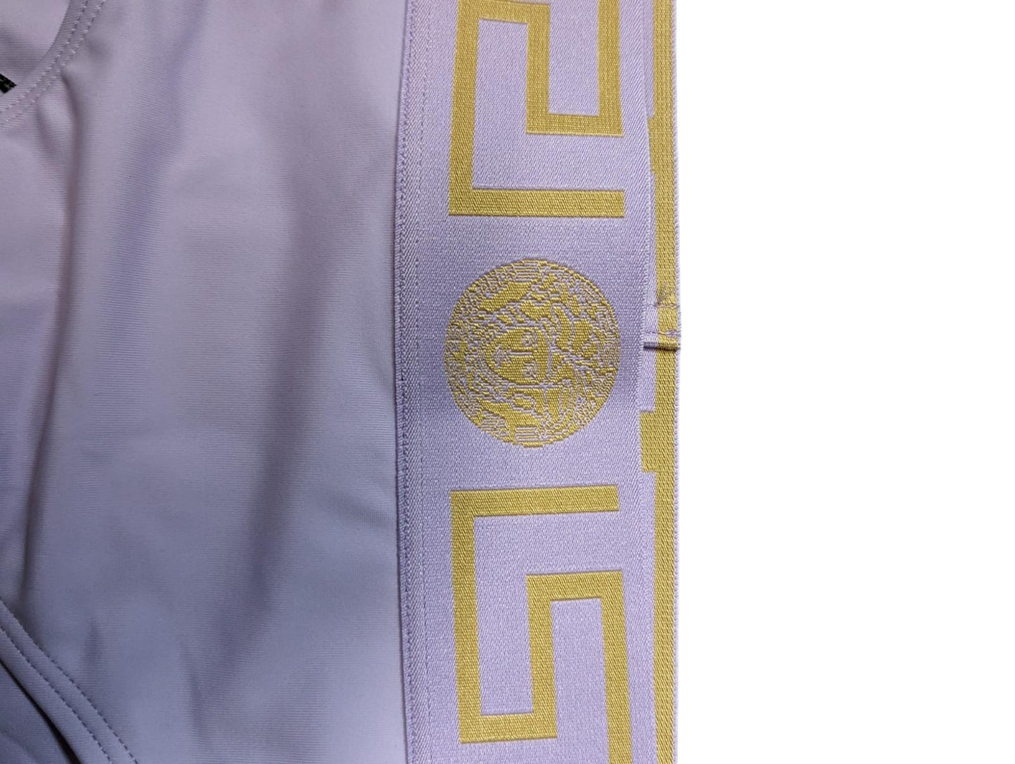 VERSACE Logo Bikini Bottoms Purple Logo Elastic Waist Briefs (2) S NEW RRP 120
