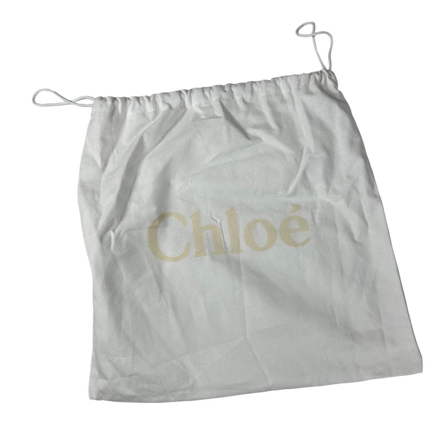 CHLOE Leather Designer Faye Small Crossbody Bag Neutral NEW RRP 850