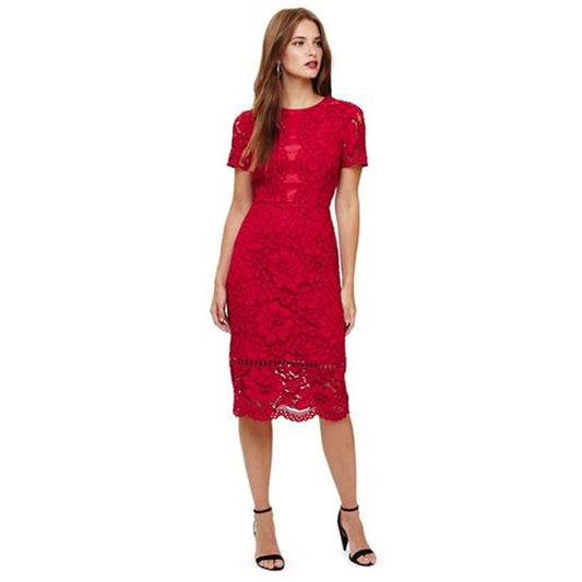 PHASE EIGHT Ladies Scarlet Red Darena Lace Short Sleeve Pencil Dress UK6 BNWT