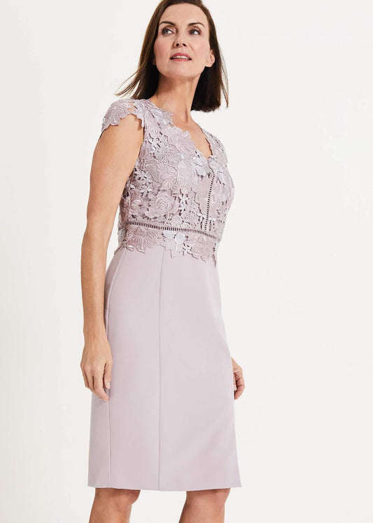 Phase Eight Caroline Lace Bodice Pencil Dress Misty Mauve Size UK8 RRP160